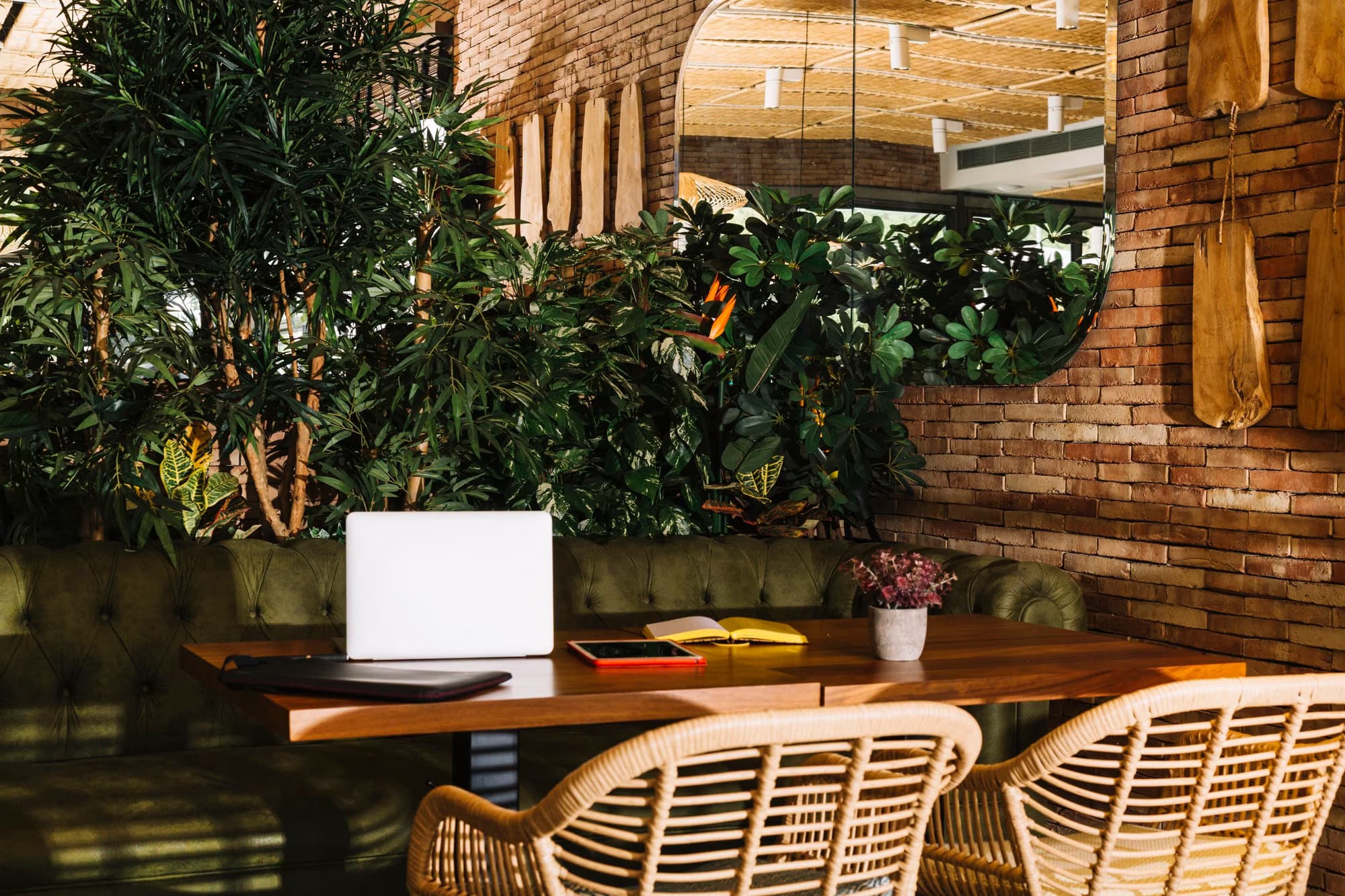 Laptop, digital tablet, book, pot plant, and wooden table in a cozy cafe